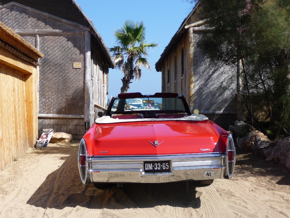 Beach sea sand car