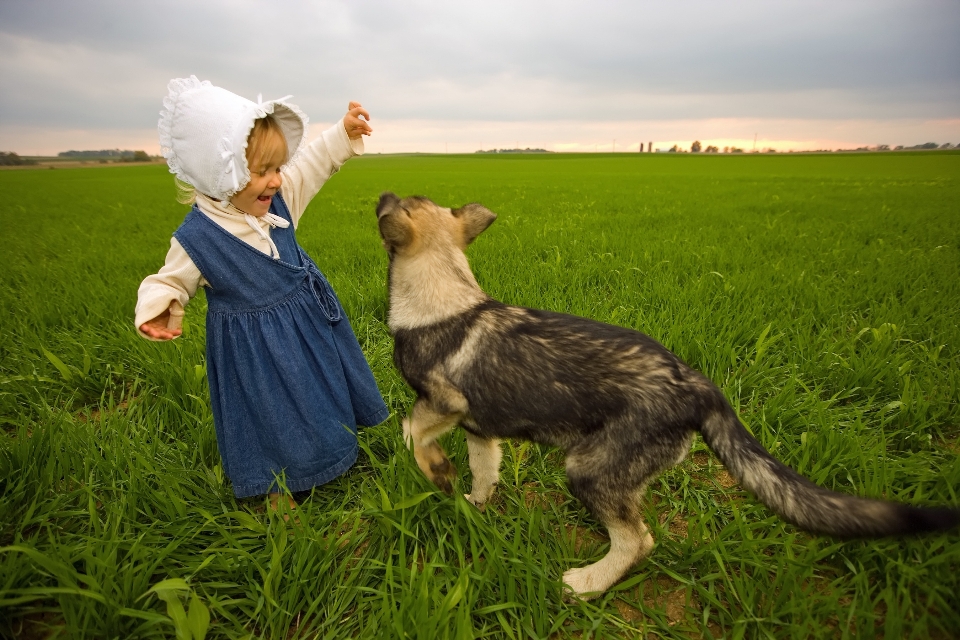 Natura trawa niebo dziewczyna