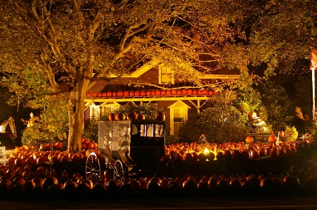 Night spooky autumn halloween Photo