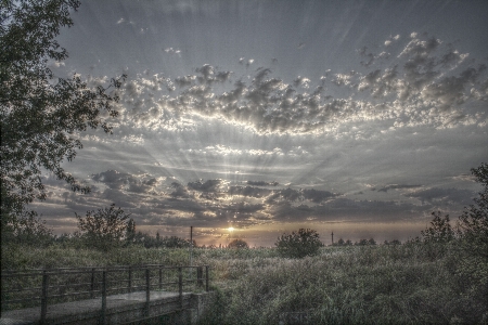 Landscape tree nature horizon Photo