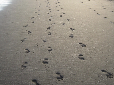 Photo Plage mer sable neige