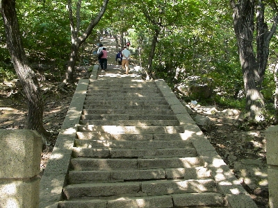 Trail sidewalk stone walkway Photo