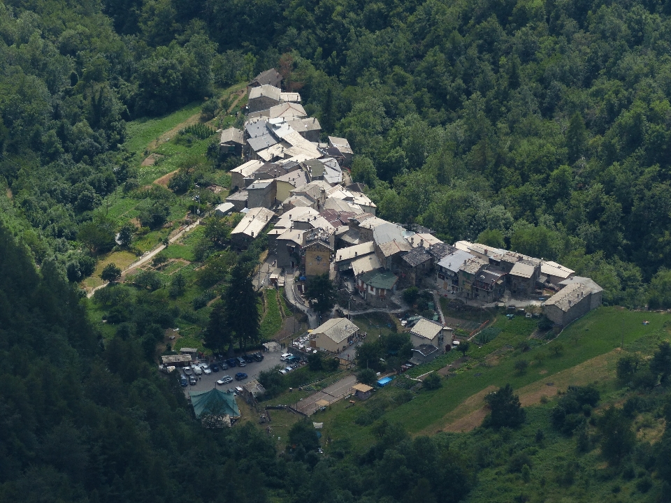 景观 树 山 爬坡道