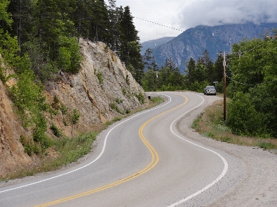 Forest road traffic street Photo