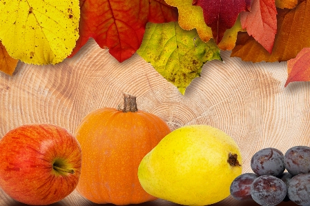 Apple nature plant fruit Photo