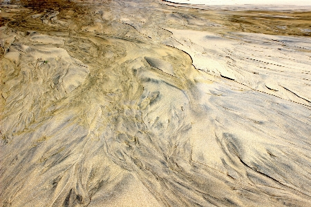 海 砂 構造 形成 写真