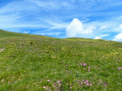 Foto Lanskap pesisir alam rumput