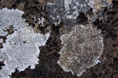 自然 rock 雪 冬 写真