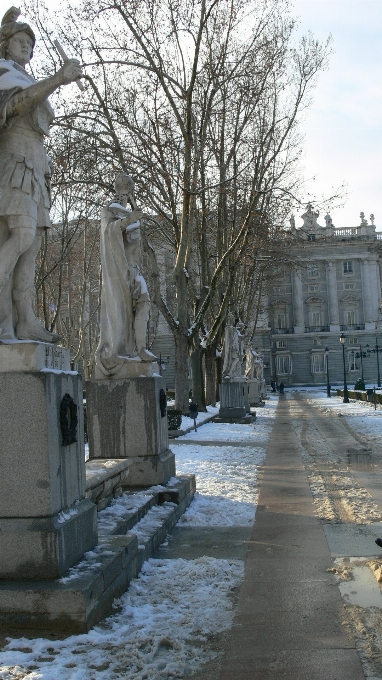 árbol nieve invierno arquitectura