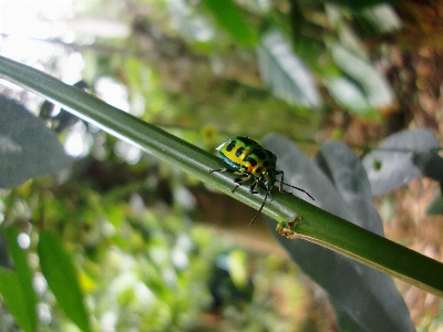 Nature outdoor branch wing Photo