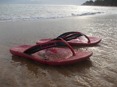 Beach sea ocean shoe Photo