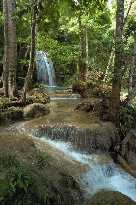 água natureza floresta cachoeira