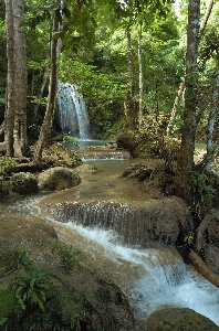 Foto Acqua natura foresta cascata