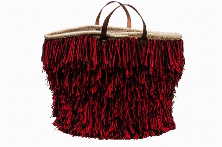 Photo Isolé modèle rouge sac