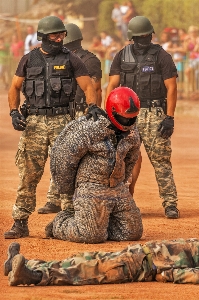 Foto Pessoa militares soldado exército