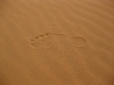 Sand wood desert floor Photo