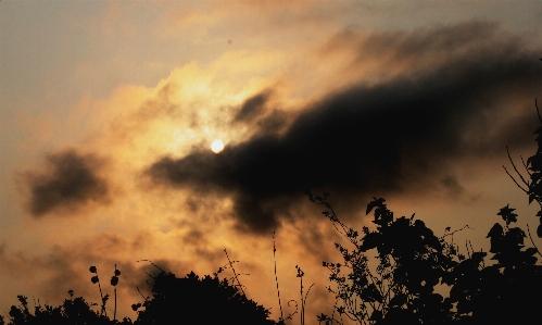 Light cloud sky sun Photo