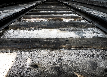 Horizon wood track railway Photo