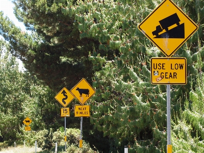 Road trail flower sign Photo