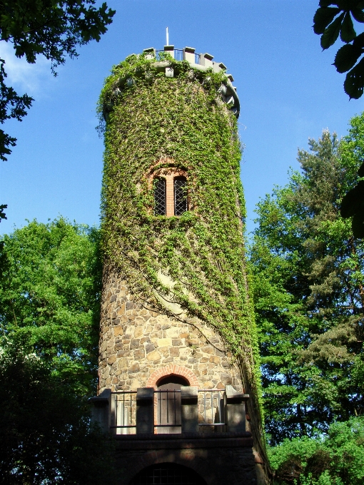 Arbre architecture structure usine