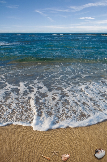 ビーチ 海 海岸 水