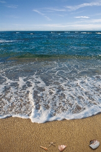 Beach sea coast water Photo