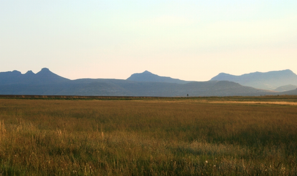 Landschaft natur gras horizont