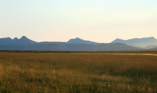 Landschaft natur gras horizont Foto