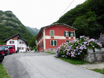 Straße wandern
 haus blume Foto