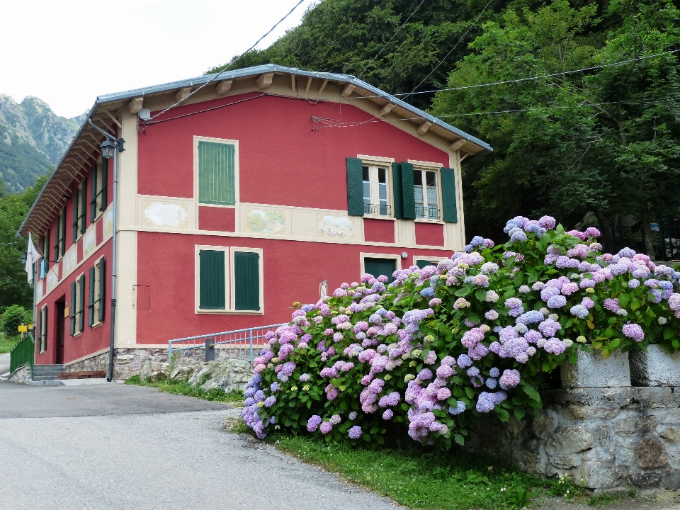 Camino senderismo
 casa flor