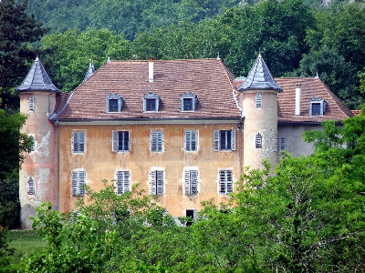 Forest architecture villa mansion Photo