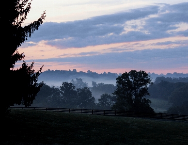 Landscape tree nature outdoor Photo