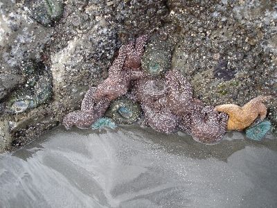 Beach landscape coast nature Photo