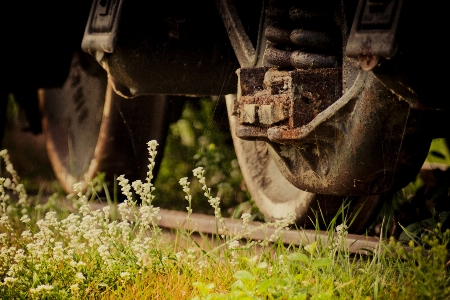 Grass railway photography wheel Photo