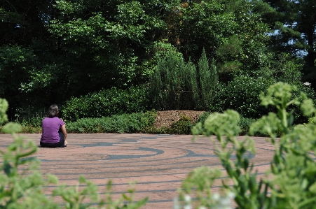 Landscape grass sun woman Photo