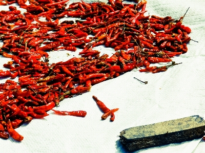 Food pepper red produce Photo