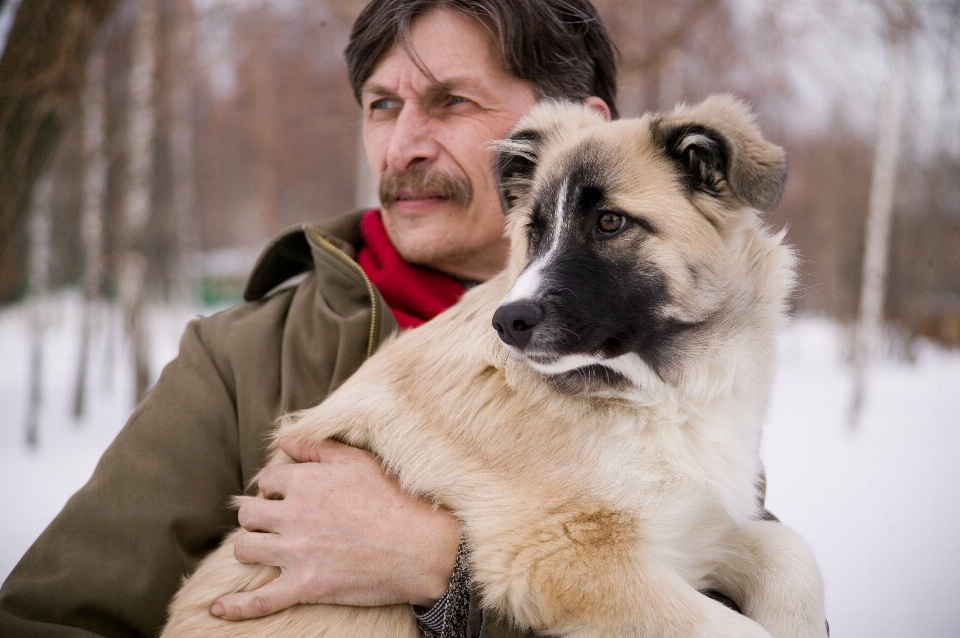 Gente cachorro perro masculino