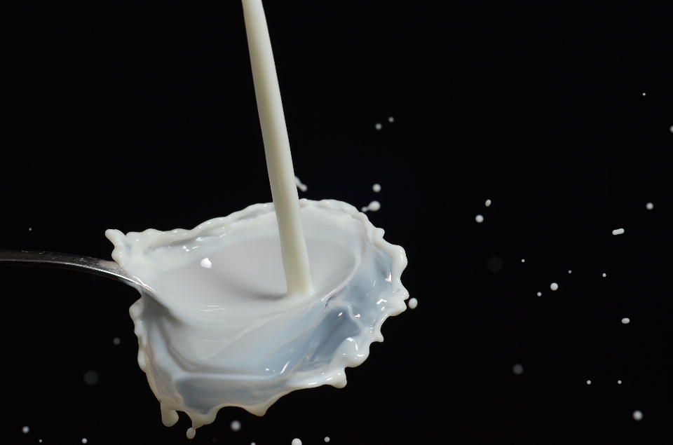 Líquido alimento beber leche