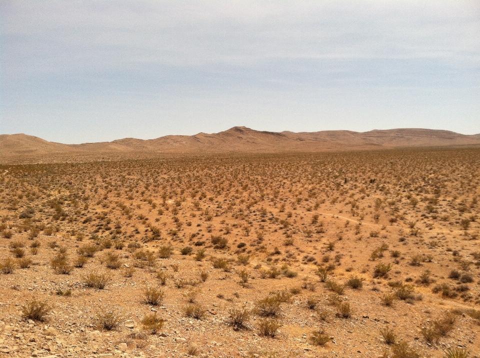 Landschaft natur draussen sand