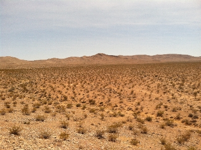 Landscape nature outdoor sand Photo