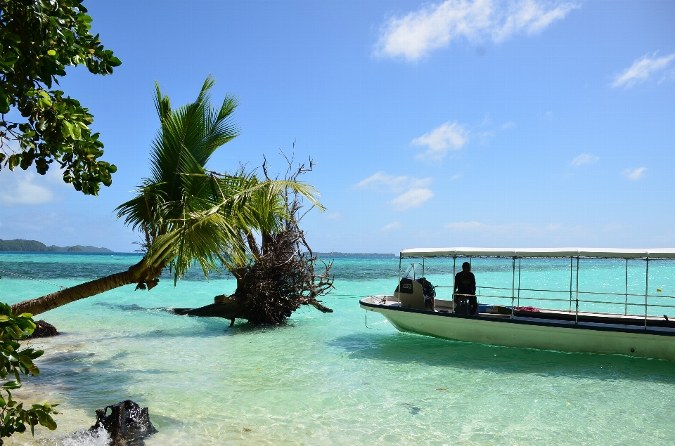 ビーチ 海 海岸 自然