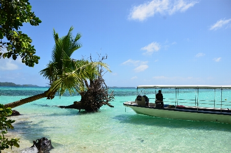 Beach sea coast nature Photo