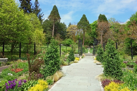 Landscape nature flower walkway Photo