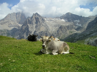 Landscape nature grass mountain Photo