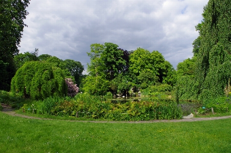 Landscape tree water nature Photo