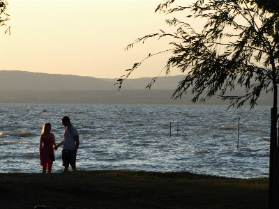 Beach sea coast water Photo