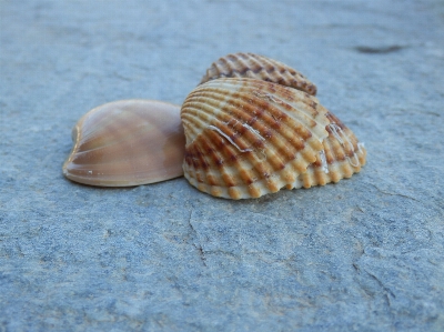 Coast water nature spiral Photo