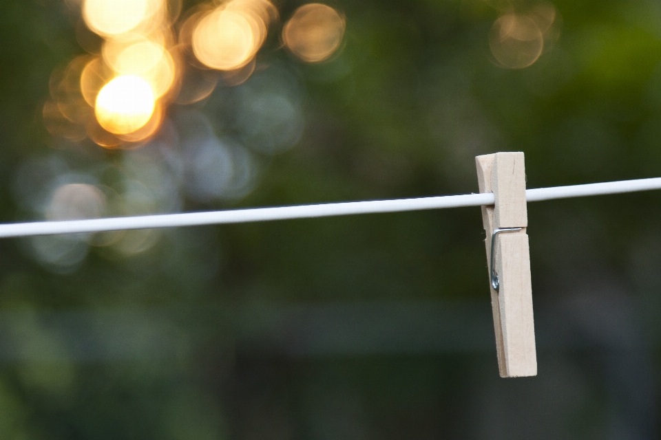 Branch rope light bokeh