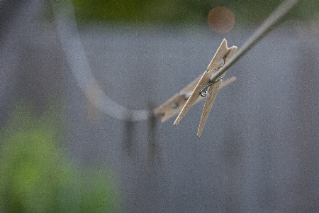 Grass branch rope photography Photo