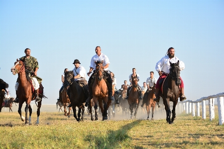 Foto Cavaliere ranch
 cavallo equitazione
